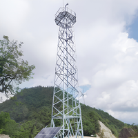 Tour de surveillance en treillis d'acier structurel haute résistance galvanisé à chaud anticorrosion, durée de vie de plus de 30 ans