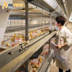 Gabbia per polli con pinza a batteria a 4 livelli di tipo H di grandi dimensioni completamente automatica - Product Image 3