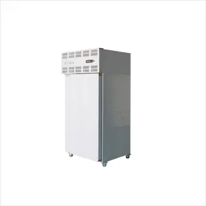 Factory Supplier Blast Freezer Quick Freezing Blast Freezer Quick Made In China
