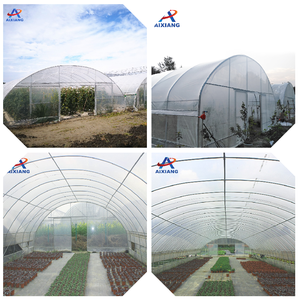 Film de polythène en <span class=keywords><strong>plastique</strong></span> à portée unique de haute qualité <span class=keywords><strong>Tunnel</strong></span> de squelette en acier galvanisé élèvent la serre de tente <span class=keywords><strong>pour</strong></span> les <span class=keywords><strong>semis</strong></span> - Product Image 6