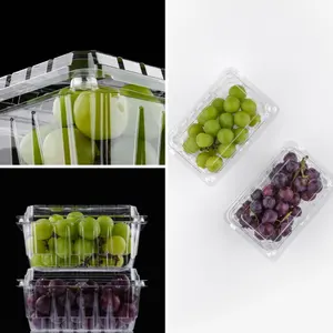 סיטונאי ממוחזר תכת פירות יער שקוף תיבת אריזת מזון חד פעמי אריזה - Product Image 6