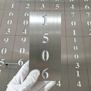 Letreros de Puerta Modernos Personalizados BUOYANT para Hotel, Acero Inoxidable Cepillado, Letreros Huecos con Número de Habitación para Apartamento, Casa, Escuela, Villa - Product Image 1