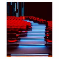 Bande lumineuse EL pour bord de marche et nez de marche de cinéma, lumière douce et uniforme qui aide les spectateurs à voir clairement les marches. Pas de fatigue oculaire