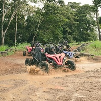 Voitures tout-terrain LNA Cross dune Buggy 200cc pour adultes