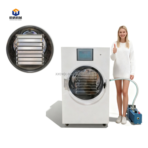 Secador por Congelación de Uso Doméstico de 10 kg <span class=keywords><strong>a</strong></span> 20 kg, Máquina de Secado por Congelación al Vacío Comercial para Dulces, Mariscos y Vegetales, con Certificación CE - Product Image 4