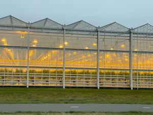 Tropische polycarbonaat PC-kassen en commerciële hydroponische teeltsystemen voor tomaten, sla en aardbeien - Product Image 3