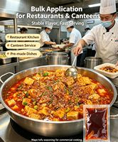 Sichuan Style Mapo Tofu Compound Seasoning Bulk Wholesale Multi Dish Cooking Custom Packaging for Catering Pre Made Food Retail