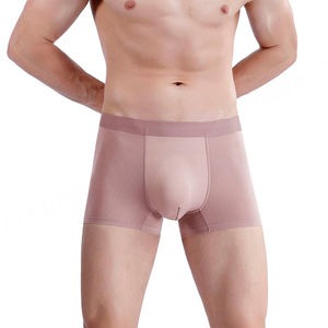 Venta al por mayor de Bóxers personalizados para hombre, fabricante de moda, nueva marca, transpirable, sin costuras, de nailon, ropa interior para hombre - Product Image 1