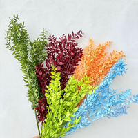 Heetverkopende natuurlijke plant Rucus bladeren, gedroogde Rucus bloemen voor thuis, bruiloft, vaasdecoratie