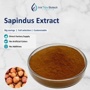 Extracto de Jabón de Nuez Natural Biodegradable con 40%-80% de Sapindoside para Fabricación de Jabón y Detergente Ecológico Doméstico, Muestra Gratuita Disponible - Product Image 1