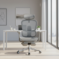 Chaise de bureau ergonomique avec support lombaire et dossier réglables en hauteur, accoudoir en aluminium 6D, nouveau design, unique