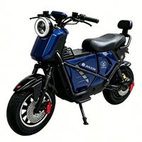 Bicicleta Eléctrica Estilo Motocicleta Popular, Actualizada, de Largo Alcance, con Dos Ruedas, Batería de Plomo-Ácido, Motor de Cubo Trasero de 1500W