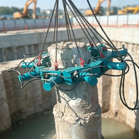 Cisaille à poteaux en béton pour la démolition de têtes de pieux dans la construction routière