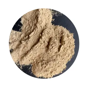 100% Bentonite de calcium de poudre de bentonite de taille nano de qualité alimentaire naturelle