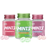 Factory Priced Sugar Free Mint Tablet Candy Custom Flavors Private Label for Sale