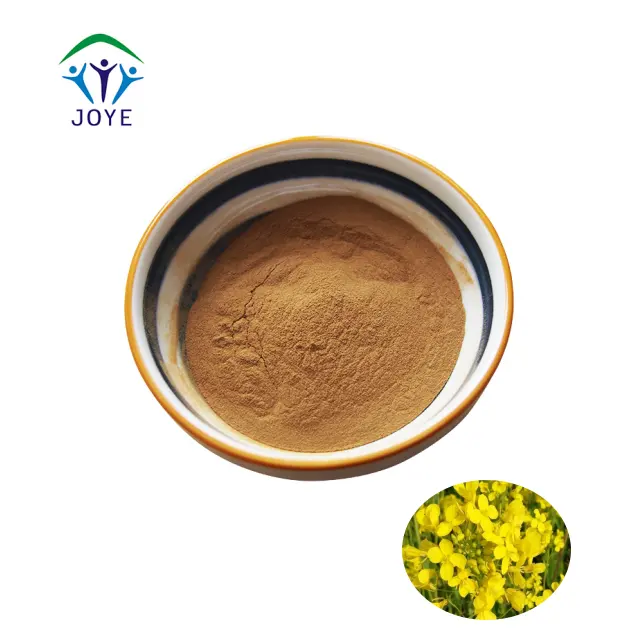 Factory supply Rape flower extract powder