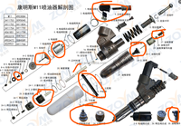 30803682 ZQYM  QSM11 M11 N14  kit de reparación de inyectores, sello, junta tórica