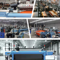 Équipement Textile comme ishikawa rifa rapier machine à tisser largeur haespeed chine rapier éponge serviette à tisser