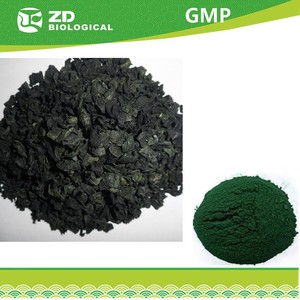 Poudre de <span class=keywords><strong>Chlorella</strong></span> Pyrenoidosa à vendre/<span class=keywords><strong>Chlorella</strong></span> cassée à paroi cellulaire/<span class=keywords><strong>Bio</strong></span> <span class=keywords><strong>Chlorella</strong></span> - Product Image 6