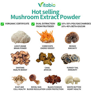 Private Label Bio-Hericium-Erinaceus-Extrakt Löwenmähnen-Pilzextrakt Löwenmähnen-Pulver - Product Image 4