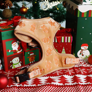 Nuevo Arnés y Correa Ajustable para Perros y Gatos con Bordado de <span class=keywords><strong>Hombre</strong></span> de Jengibre de Terciopelo Personalizado por el Fabricante - Product Image 1