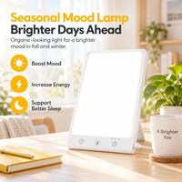 Lampu Terapi LED Profesional Portabel 20W Dapat Diredupkan 10000 LUX 3 Tingkat Kecerahan Pengaturan Waktu Depresi Musiman