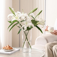 Vase Moderne en Plastique Transparent pour Arrangements Floraux Élégants, Idéal pour Lys Hydroponiques 'Horse Drunk Wood', Design Simple et Droit pour Salon