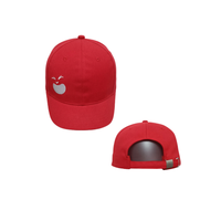 Gorra de Béisbol de 6 Paneles Personalizable de Alta Calidad con Tela 100% Algodón Impermeable, Ajustable para Ir de Compras, Empaquetada en Cartón