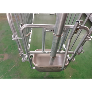 กรงคลอดสุกรแบบมีประตูหลังสำหรับแม่สุกร ขายส่งจากจีน - Product Image 3