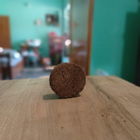 Blocs de coco plain en fibre de coco de 100 mm pour germination des graines, biodégradables, à forte rétention d'eau, substrat de culture pour plantes de jardin