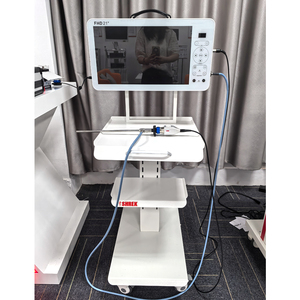 <span class=keywords><strong>Shrek</strong></span> endoscopia médica 21 pulgadas Full HD portátil cistoscopio endoscopio sistema <span class=keywords><strong>de</strong></span> cámara - Product Image 2