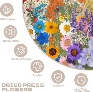 Großpackung Natürliche Getrocknete Gepresste Blumen für Kunstharzschmuck – Farbenfrohe Botanicals für DIY Nagelkunst, Seifenhandwerk, Hochzeits-/Oster-Lesezeichen - Product Image 3
