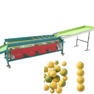 Venta Directa de Fábrica, Máquina Clasificadora Automática Multifuncional de Tomates y Frutas de Alta Calidad - Product Image 5