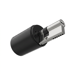 Cylindre de serrure de porte électronique motorisé intelligent MAX02 en aluminium ABS rechargeable par Type-C TTLock Tuya - Product Image 1