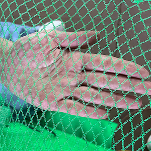 Il n'absorbe pas l'eau <span class=keywords><strong>Anchois</strong></span> Aquaculture <span class=keywords><strong>Filet</strong></span> <span class=keywords><strong>de</strong></span> pêche - Product Image 6