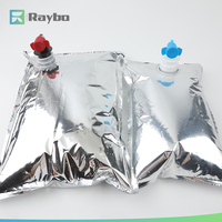 Sac BIB stérilisé RAYBO 5L 10L pour sirop de soda et boissons