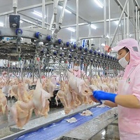 Kit d'abattoir à air 1000BPH, équipement d'abattoir avec chaudière, imperfections