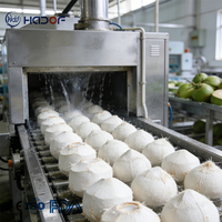 Automatische groene kokosnootschilmachine, kokosnootverwerkingslijn, hoge capaciteit 300-3000kg/u, eenvoudig openen van fruit, fruitverwerking