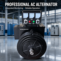 Alternateur AC sans balais à double roulement 30 kVA avec AVR, tête de générateur triphasé en cuivre