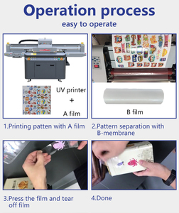 Winner Impressora De Dtf Tshirt Fabric Printer Textile DTF Machine d'impression avec ordinateur
