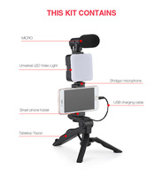 Lampu Isi Ulang Saku AY49 Mikrofon Nirkabel Desktop LED Genggam untuk Foto Vlog Siaran Langsung Luar Ruangan Tiga Suhu Warna