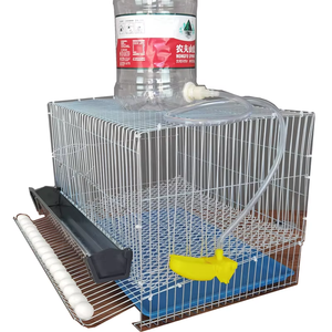 Jaula <span class=keywords><strong>de</strong></span> Cría <span class=keywords><strong>de</strong></span> Gallinas Pequeña con Ruedas para Codornices, Aves, Palomas y Loros, Modelo G11259-S1212 - Product Image 1