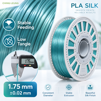 Filament PLA Soie Personnalisé avec Logo, Bobine de 1,75 mm 1 kg, Haute Précision pour Imprimante 3D, Sans Traces, Lisse et Brillant, Vente en Gros OEM