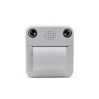 Printer AI Portabel Nirkabel Mini dengan Layar LCD 58mm Thermal untuk Suara/Foto/Mengambil Foto/Teks/Gambar/Catatan Dokumen