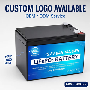 <span class=keywords><strong>Batterie</strong></span> Lifepo4 12,8 V 200 Ah, pack de batteries rechargeables à cycle profond, <span class=keywords><strong>batterie</strong></span> au lithium pour lave-auto portables - Product Image 1