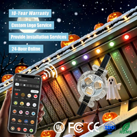Contrôleur d'application intelligent 12V 24V 36V RGBW pour éclairage de Noël extérieur permanent à points lumineux IP68 pour usage résidentiel