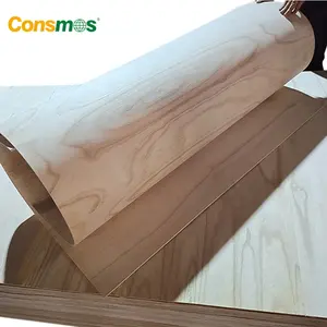 3mm 9mm 12mm thickness popalr core curved bending plywood