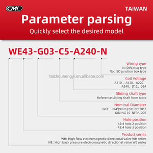 เครื่องตัดทองเหลืองเครื่องตัดวาล์วแม่เหล็กไฟฟ้า WE43-G03-C4/C9/C2/C3-D24/A110/A220/A240-N - Product Image 3