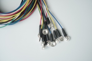 Greentek Điện Cực Ghi Hình <span class=keywords><strong>EEG</strong></span> Cốc Bạc Nguyên Chất Chất Lượng Cao Được Sử Dụng Cho Các Thiết Bị <span class=keywords><strong>EEG</strong></span> Cadwell - Product Image 6