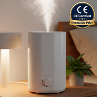 Nouveau design, humidificateur ultrasonique à brume froide 3L, contrôle par bouton rotatif continu, diffuseur d'arômes, LED à changement de couleur, faible bruit, CE, extérieur